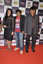 at Radio Mirchi music awards red carpet in Mumbai on 7th Feb 2013 (61).JPG